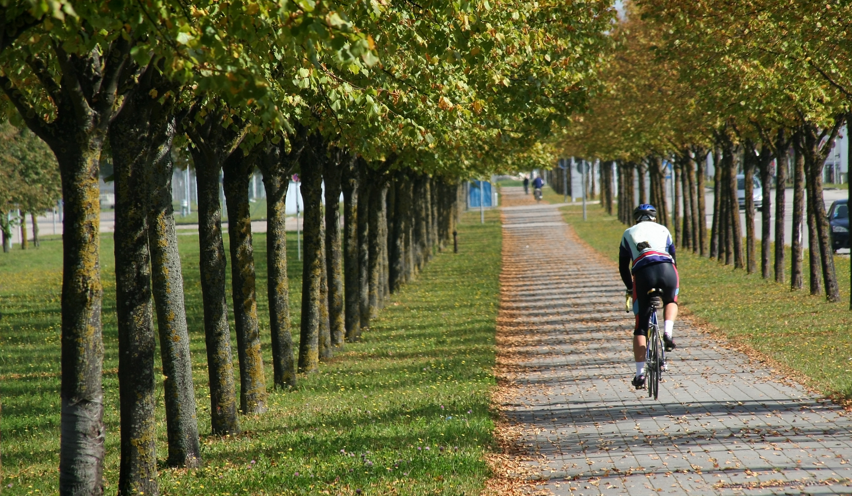 Guía completa del ciclista para guardar su bicicleta [2 pasos].