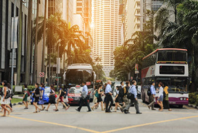 Las ciudades deben innovar para mejorar el transporte y reducir las emisiones